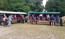 IMG-20250825-WA0016